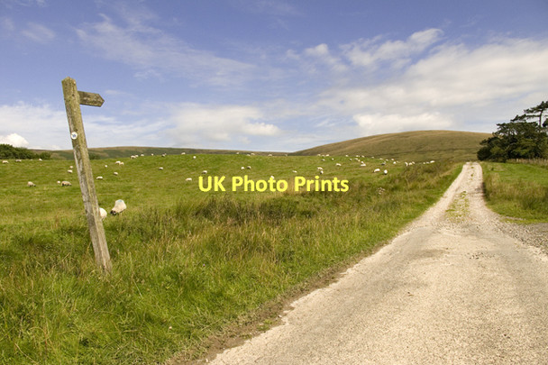 Photo 6"x4" Track to Burnslack Chipping\/SD6243 c2011