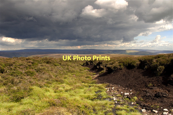 Photo 6"x4" Heather Moor Bowland Fair Oak\/SD6446 c2011