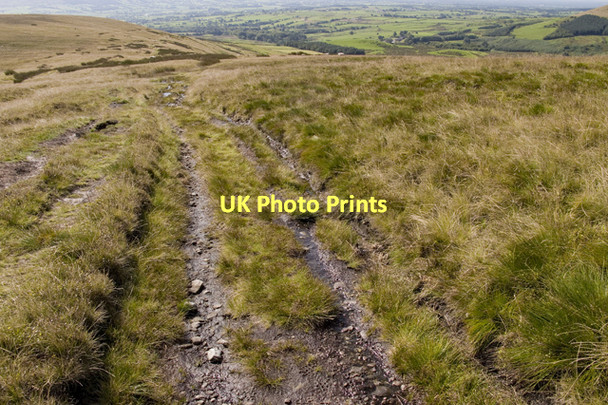 Photo 6"x4" Track on Saddle Fell Fair Oak\/SD6446 c2011