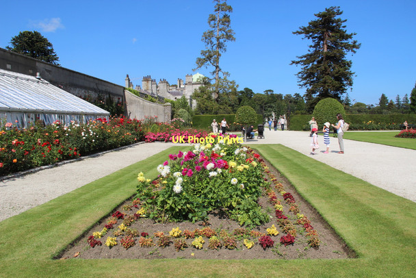 Photo 6"x4" Rose Garden, Powerscourt, County Wicklow, Ireland Enniskerry c2011