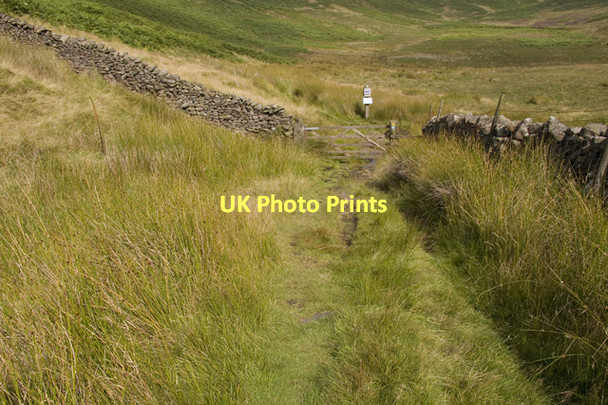 Photo 6"x4" Access Point at Ward's End Chipping\/SD6243 c2011