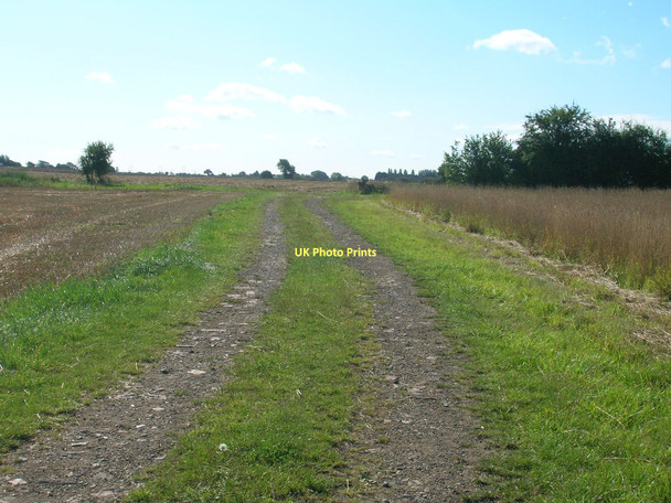 Photo 6"x4" Farm track south of Riccall Riccall c2011