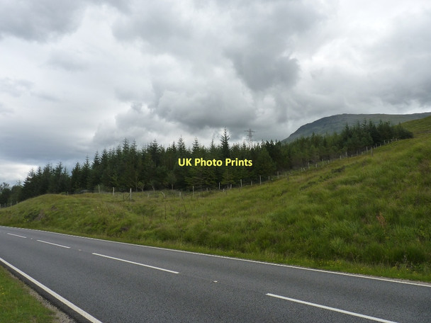 Photo 6"x4" Recent new wood next to A82 Buachaille Breige c2011