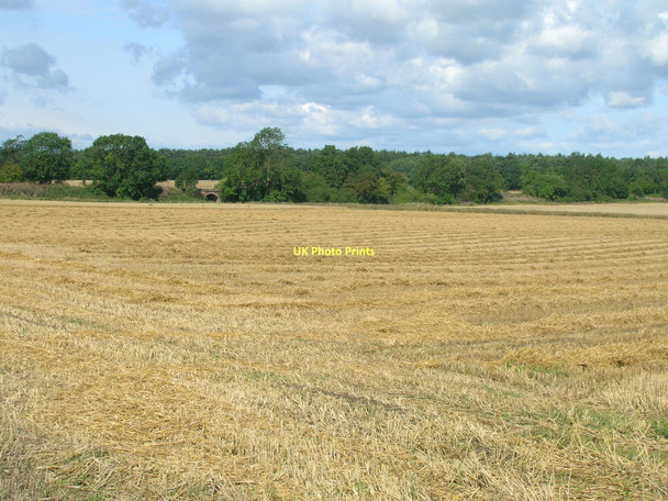 Photo 6"x4" Farmland towards Moreby Far Wood Escrick c2011