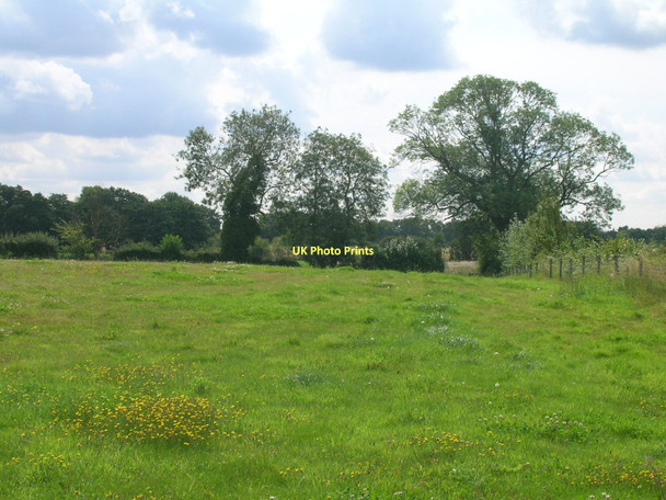 Photo 6"x4" Farmland, Skipwith Little Skipwith c2011
