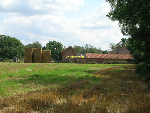Photo 6"x4" Manor Farm Skipwith c2011
