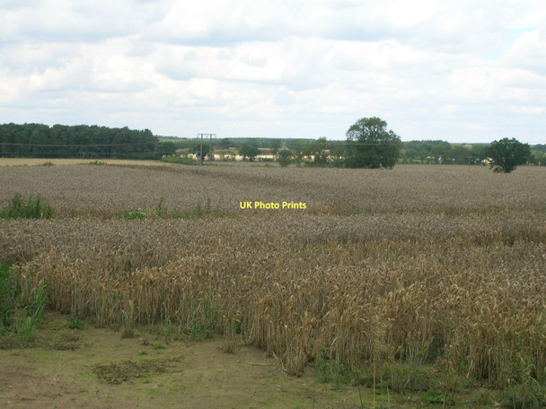 Photo 6"x4" Farmland near Wheldrake Grange Escrick c2011