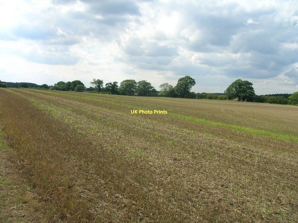 Photo 6"x4" Farmland near Warren House Farm Escrick c2011