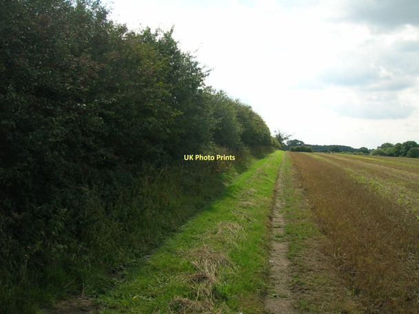 Photo 6"x4" Bridleway towards Warren House Farm Escrick c2011