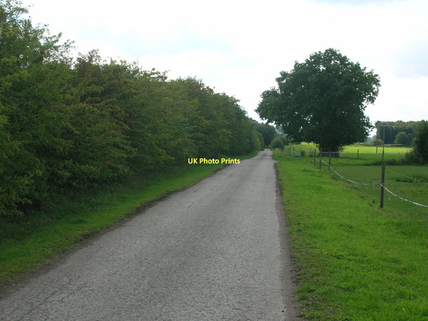 Photo 6"x4" New Road towards the A19 Deighton\/SE6244 c2011