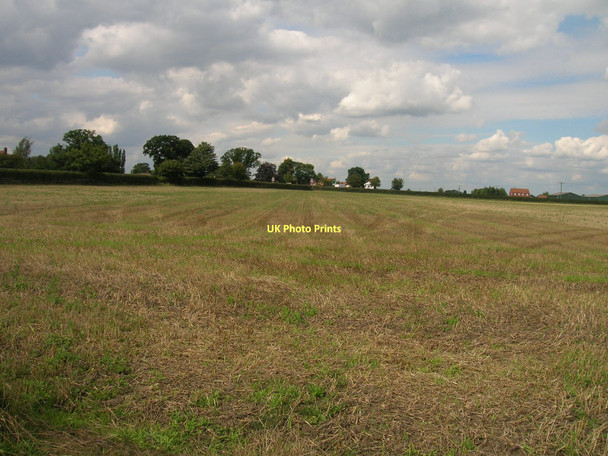 Photo 6"x4" Farmland near the A19 Deighton\/SE6244 c2011