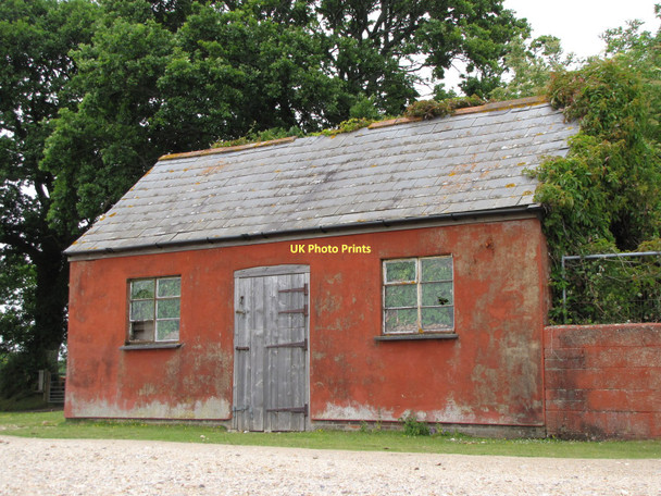 Photo 6"x4" Derelict building on South Weirs South Weirs c2011