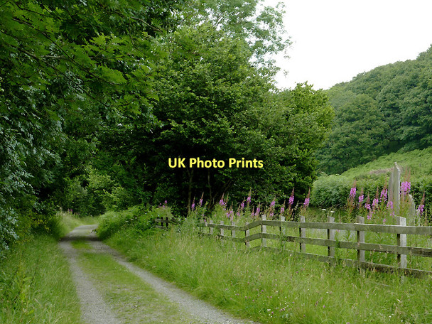 Photo 6"x4" Dismantled railway course near Tregaron, Ceredigion Swyddffynnon c2011