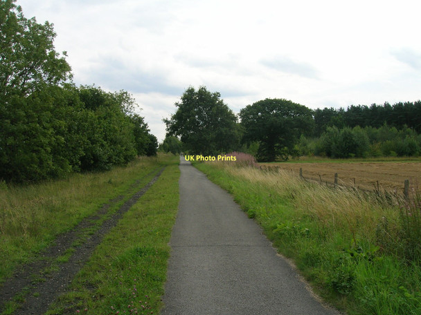 Photo 6"x4" Trans Pennine Trail towards Selby Deighton\/SE6244 c2011
