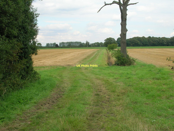 Photo 6"x4" Farm track off the B1222 Naburn c2011
