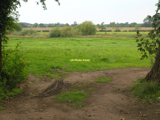 Photo 6"x4" Farmland near the River Ouse Naburn c2011