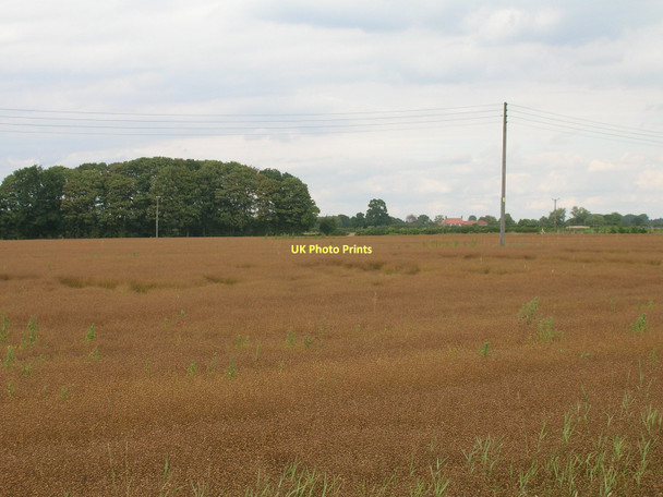 Photo 6"x4" Farmland near Keeper's House Deighton\/SE6244 c2011