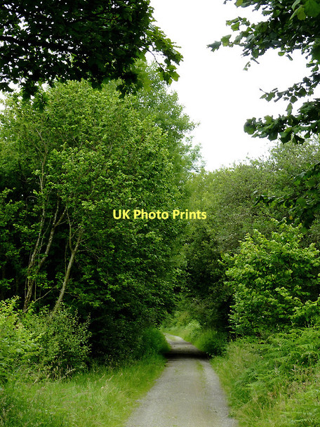 Photo 6"x4" Dismantled railway course near Tregaron, Ceredigion Swyddffynnon c2011 P1