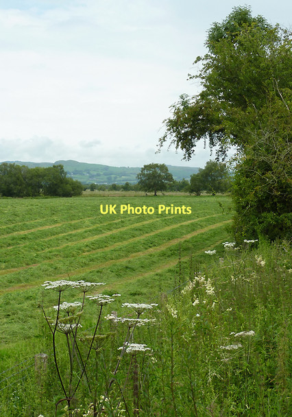 Photo 6"x4" Farmland  by Cors Caron, Ceredigion Swyddffynnon c2011