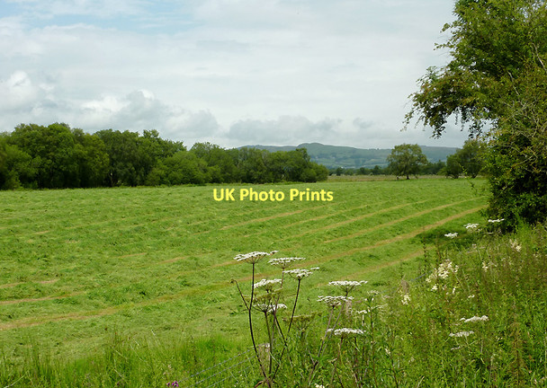 Photo 6"x4" Farmland  by Cors Caron, Ceredigion Swyddffynnon c2011