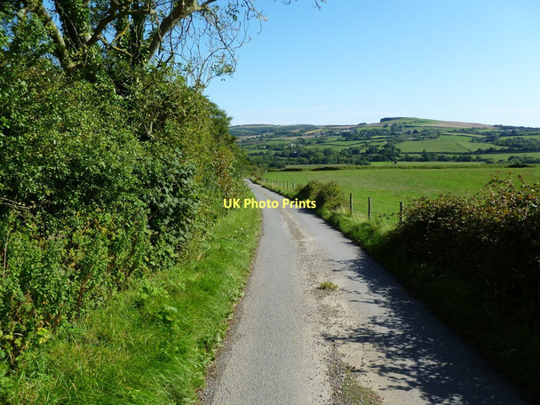 Photo 6"x4" Chilcombe Lane Chilcombe\/SY5291 c2011