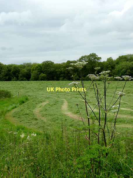 Photo 6"x4" Farmland  by Cors Caron, Ceredigion Swyddffynnon c2011