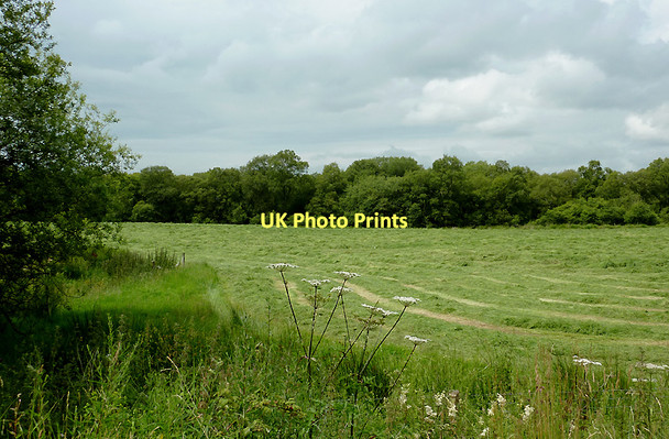 Photo 6"x4" Farmland  by Cors Caron, Ceredigion Swyddffynnon c2011 P1