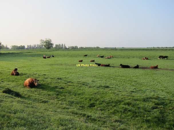 Photo 6"x4" Washland by River Great Ouse Aldreth c2011