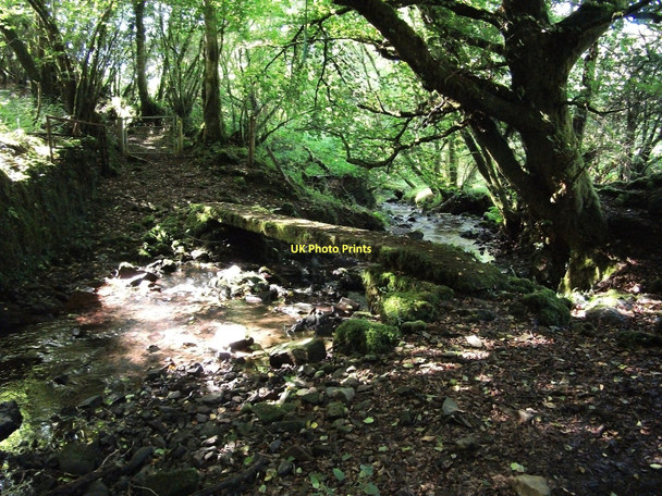 Photo 6"x4" Footbridge in the woods Llan-mill c2011