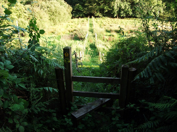 Photo 6"x4" Footpath to Sarnau Farm Dyffryn\/SN3122 c2011