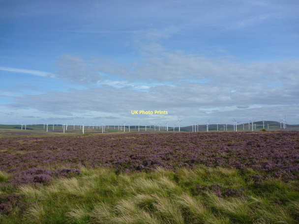 Photo 6"x4" East Lothian Landscape : Another Bloody Windfarm! Deuchrie Edge c2011