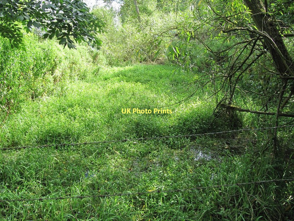 Photo 6"x4" Old Watercress bed? Wantage c2011