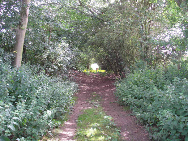 Photo 6"x4" St Andrew's Lane High Hutton c2011