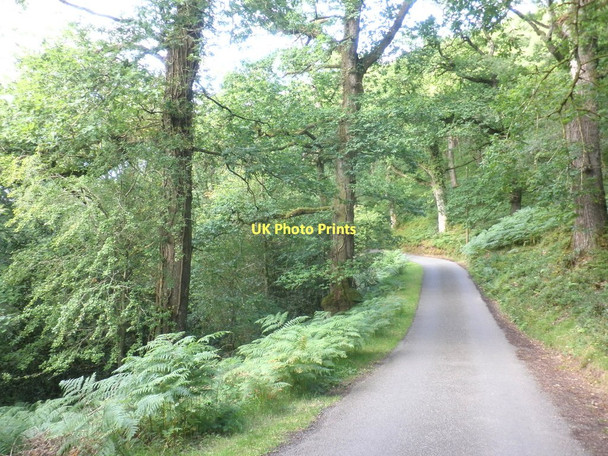 Photo 6"x4" Minor road, on the side of East Water Valley Luccombe\/SS9144 c2011