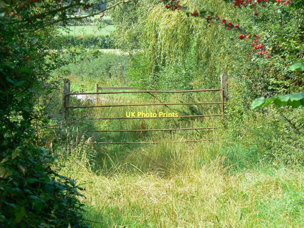 Photo 6"x4" Gate at entrance to Rigsby's Lane near Minety Lower Moor\/SU0291 c2011