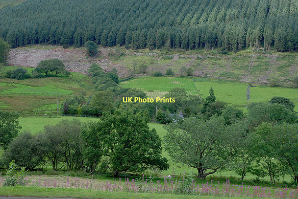 Photo 6"x4" Fields around Pentrewern farm Dinas-Mawddwy c2011