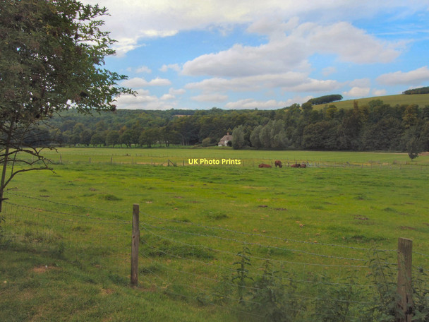 Photo 6"x4" Farmland at Singleton Charlton\/SU8812 c2011
