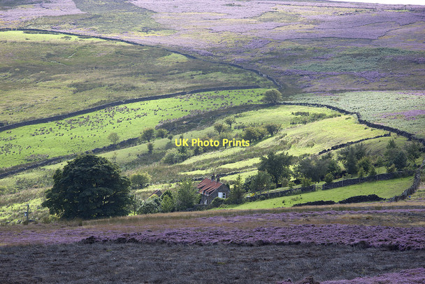 Photo 6"x4" Highdale Farm Street\/NZ7304 c2011