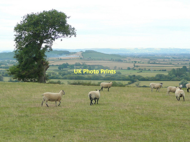Photo 6"x4" View across the Severn Longridge End c2011