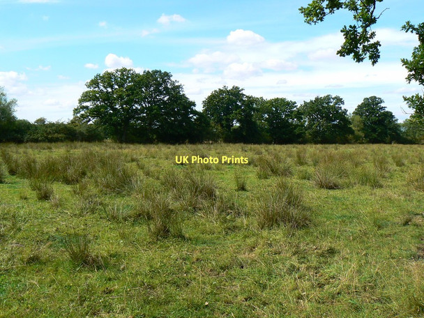 Photo 6"x4" Across a field east of Minety Lower Moor\/SU0291 c2011
