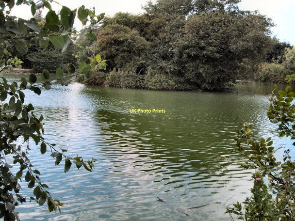 Photo 6"x4" Lake -Singleton Charlton\/SU8812 c2011