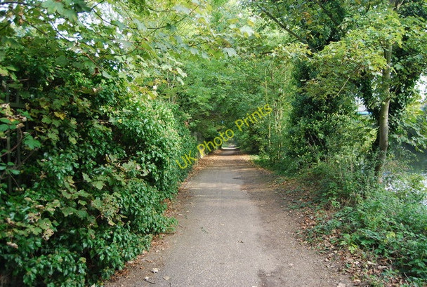 Photo 6"x4" Medway Valley Walk north of Maidstone Maidstone c2009