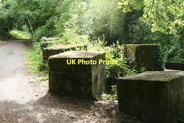 Photo 6"x4" Chard: tank traps at Chard North Chard c2011