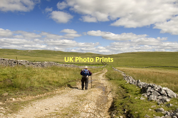 Photo 6"x4" On Mastiles Lane Bordley c2011