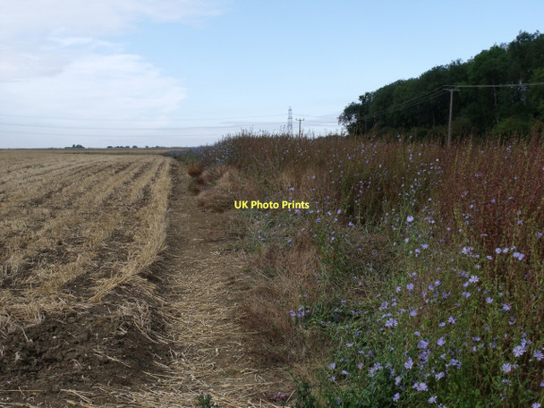 Photo 6"x4" Public Footpath from Park Lane, near Ewerby Ewerby c2011
