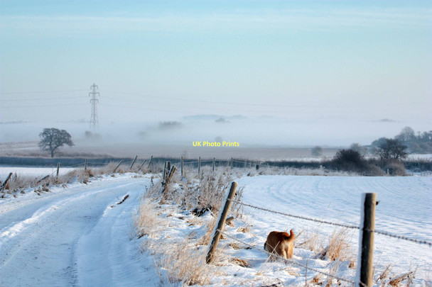 Photo 6"x4" Common lane Wawne Meaux c2010