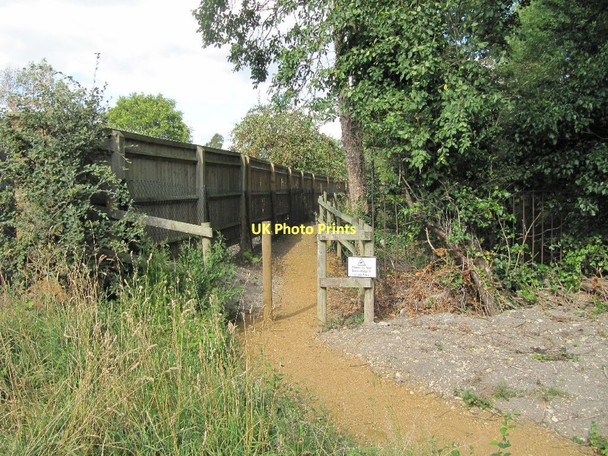 Photo 6"x4" Off along the fence Wantage c2011