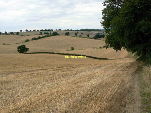 Photo 6"x4" Landscape near Woodborough Park Arnold\/SK5945 c2011