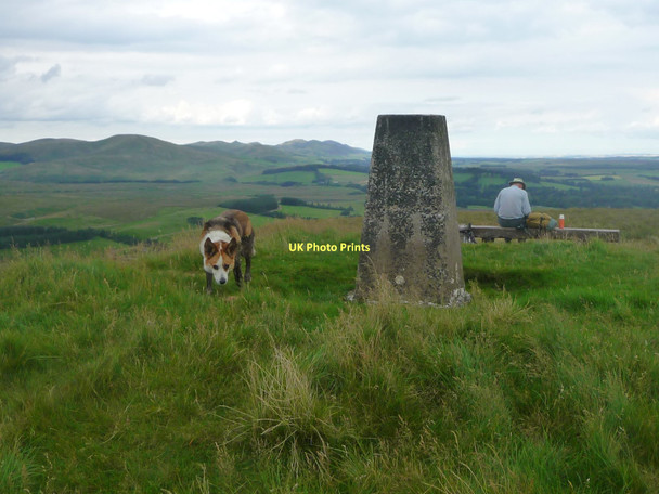 Photo 6"x4" Mendick Hill Bogs Bank c2011