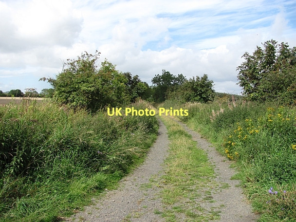 Photo 6"x4" A track on Ely Moor Chathill\/NU1826 c2011